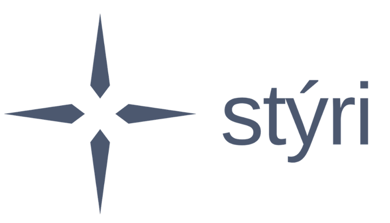 Styri Wordmark — For light backgrounds