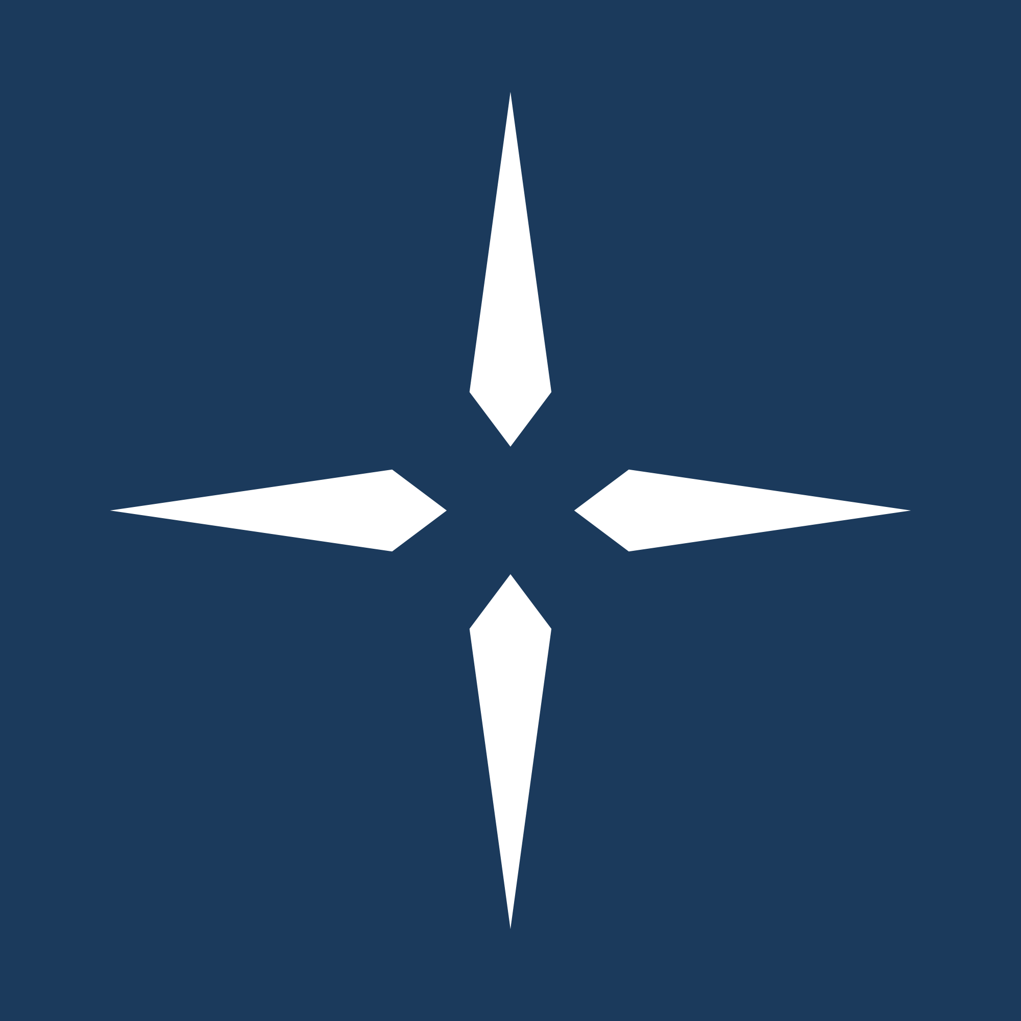 Styri Icon — Tide